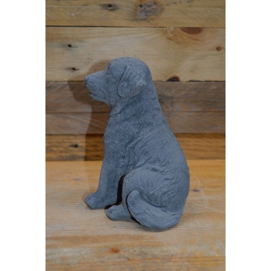 Betonnen zittende Labrador – tuinbeeld en aandenken aan uw hond-4