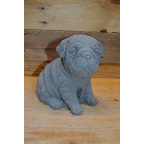 Betonnen beeld Mopshond puppy 