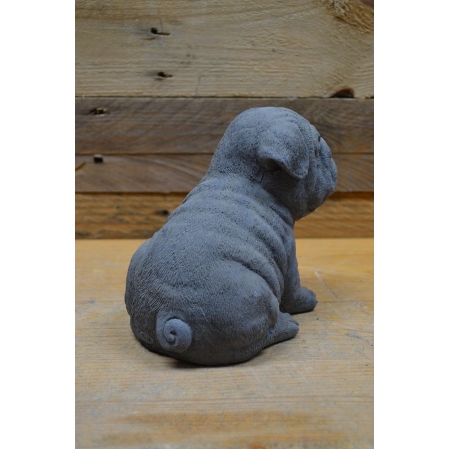 Schattige betonnen Mopshond puppy – tuinbeeld of aandenken aan uw hond-2