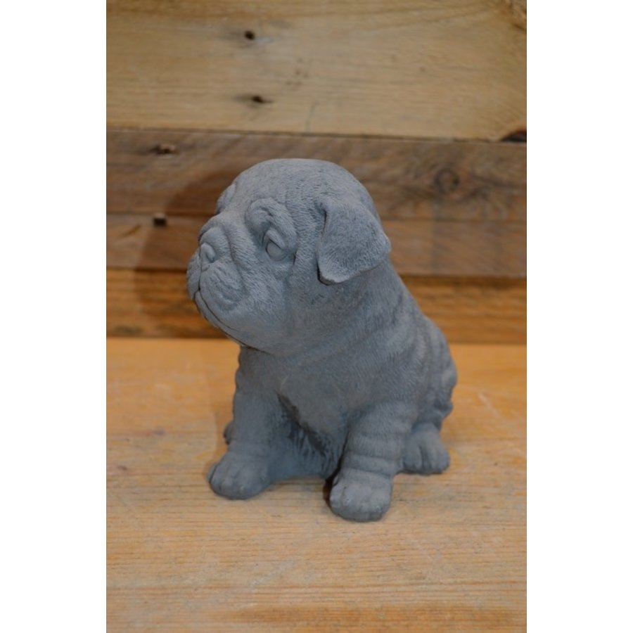 Schattige betonnen Mopshond puppy – tuinbeeld of aandenken aan uw hond-4