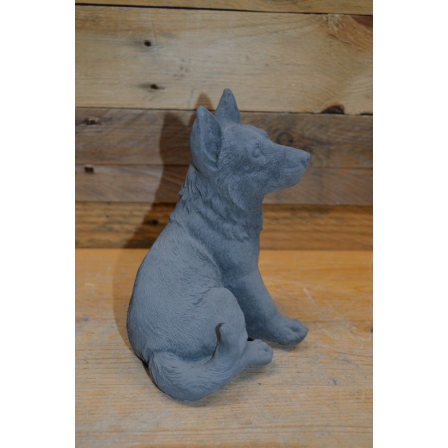 Trouw beeld van een zittende herdershond – betonnen tuinbeeld of aandenken-2