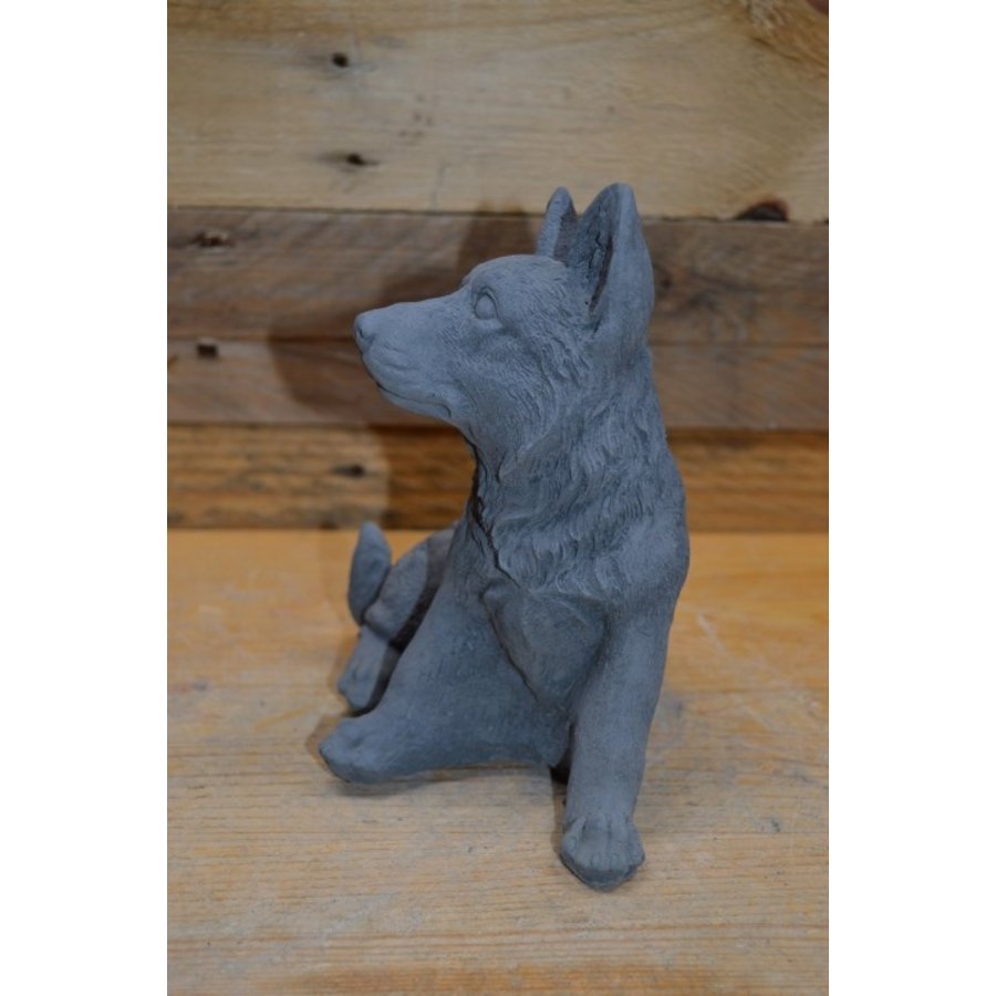 Trouw beeld van een zittende herdershond – betonnen tuinbeeld of aandenken-4