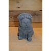 LoodsVol, Tuinbeelden Lieve zittende Shar-Pei van beton – tuinbeeld of cadeautje voor jong en oud