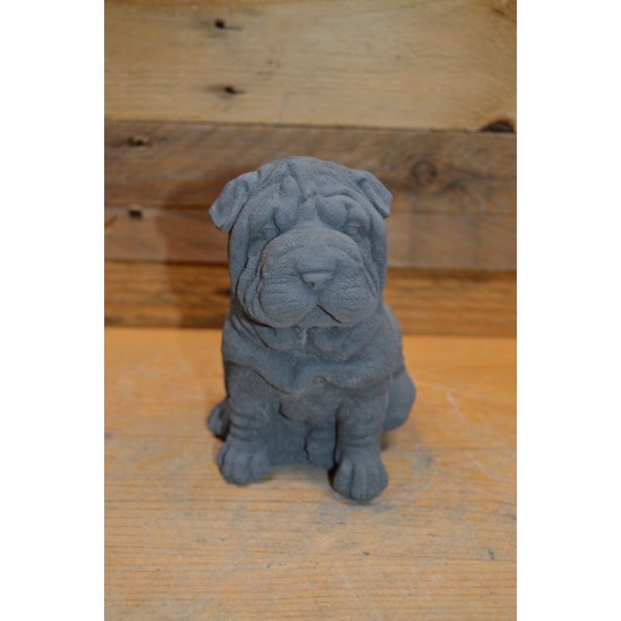 Lieve zittende Shar-Pei van beton – tuinbeeld of cadeautje voor jong en oud-1