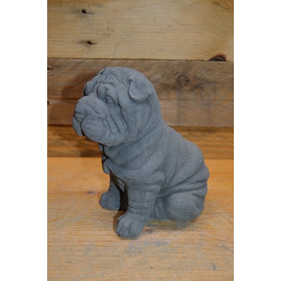 Lieve zittende Shar-Pei van beton – tuinbeeld of cadeautje voor jong en oud-2