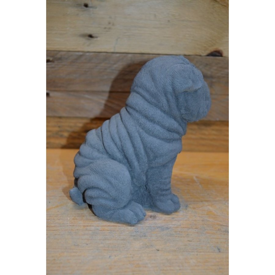 Lieve zittende Shar-Pei van beton – tuinbeeld of cadeautje voor jong en oud-4