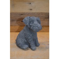 thumb-Schnauzer hond-1