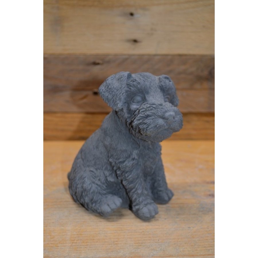 Zittende Schnauzer van beton – decoratief tuinbeeld of voor binnen-1