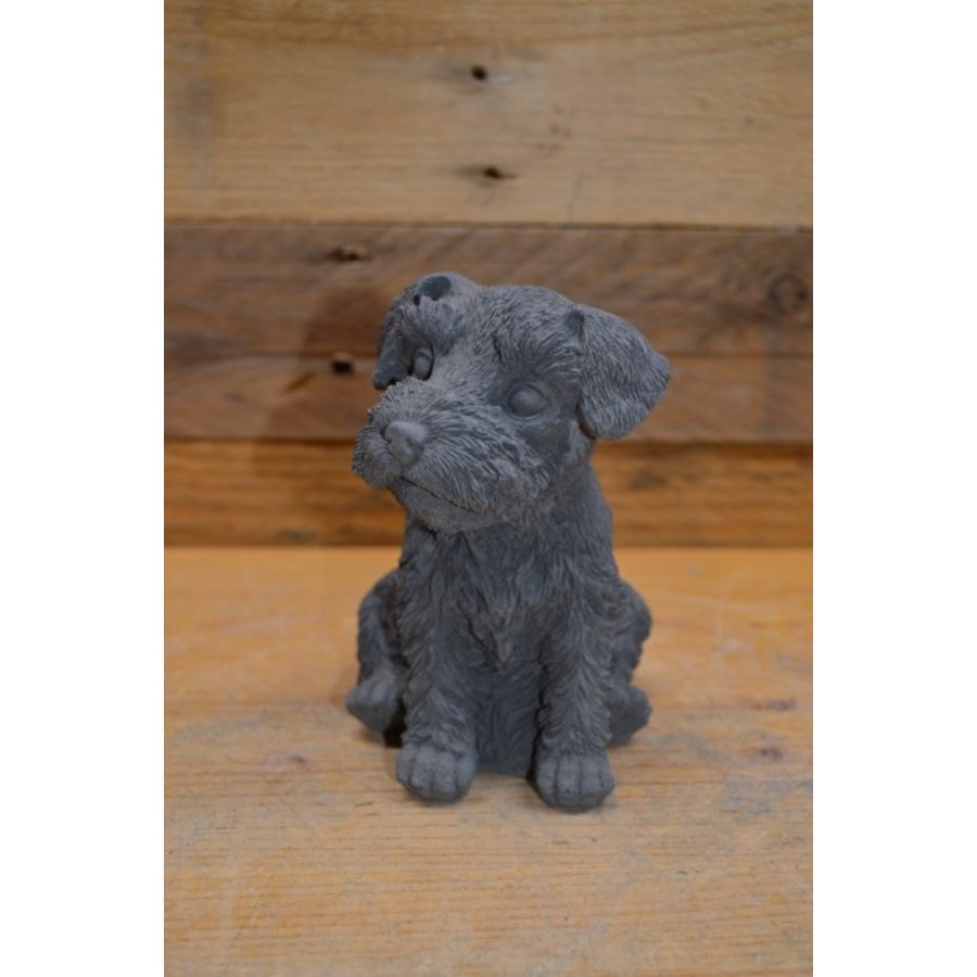 Zittende Schnauzer van beton – decoratief tuinbeeld of voor binnen-2