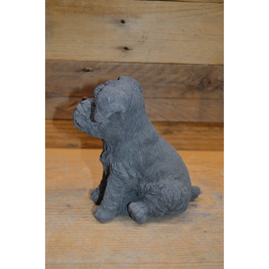 Zittende Schnauzer van beton – decoratief tuinbeeld of voor binnen-3