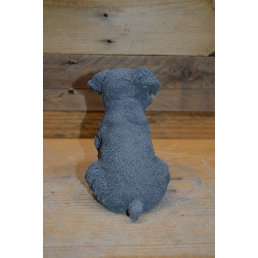 Zittende Schnauzer van beton – decoratief tuinbeeld of voor binnen-4
