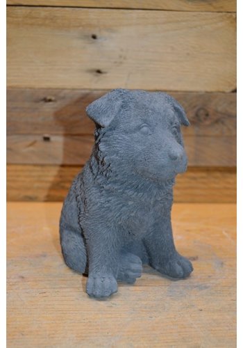 Betonnen beeld Herder puppy zittend 
