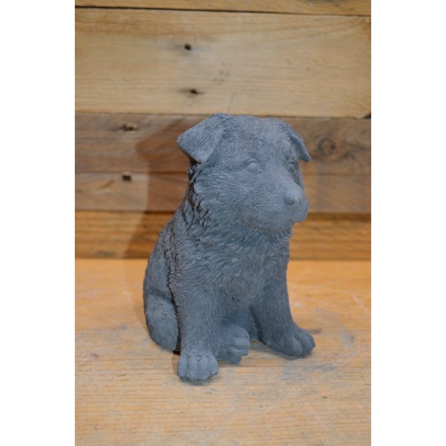 Betonnen Herder puppy – tuinbeeldje of woondecoratie-1