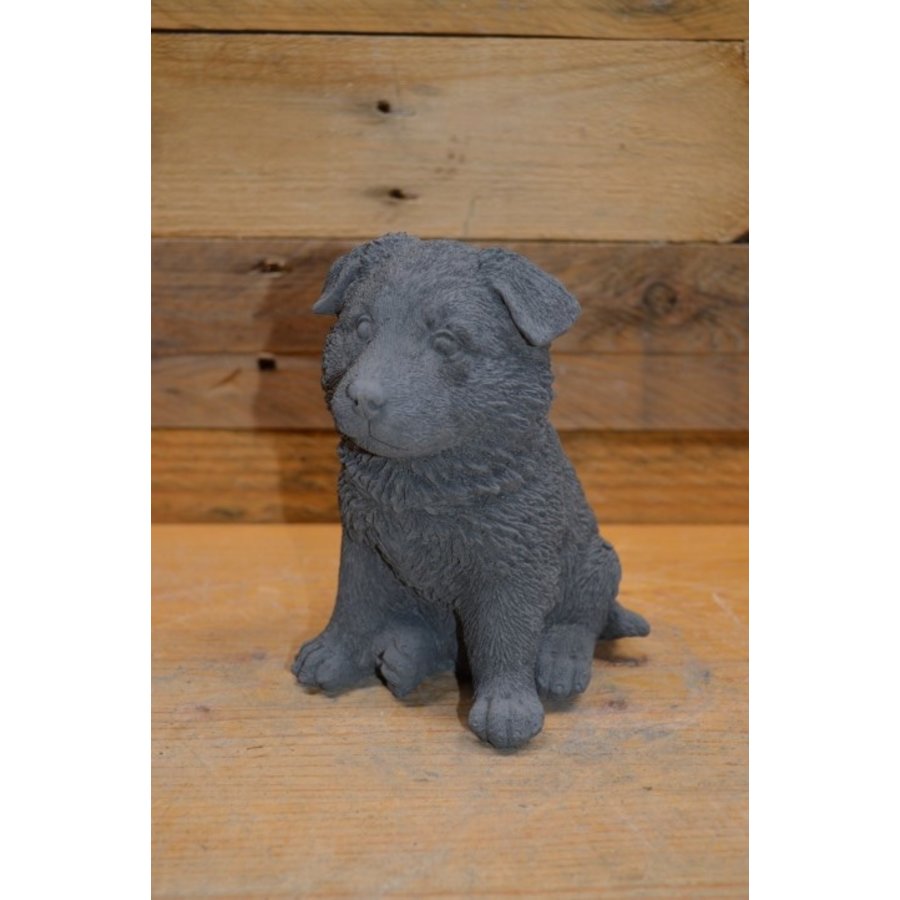 Betonnen Herder puppy – tuinbeeldje of woondecoratie-2