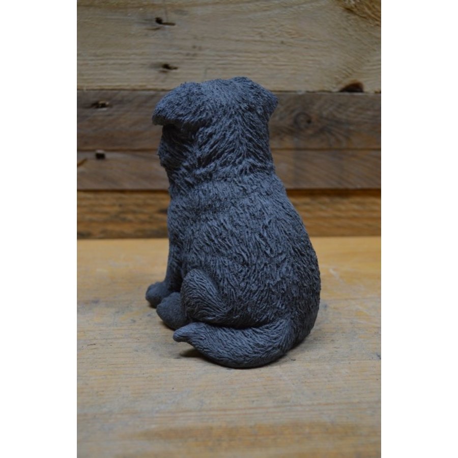 Betonnen Herder puppy – tuinbeeldje of woondecoratie-4