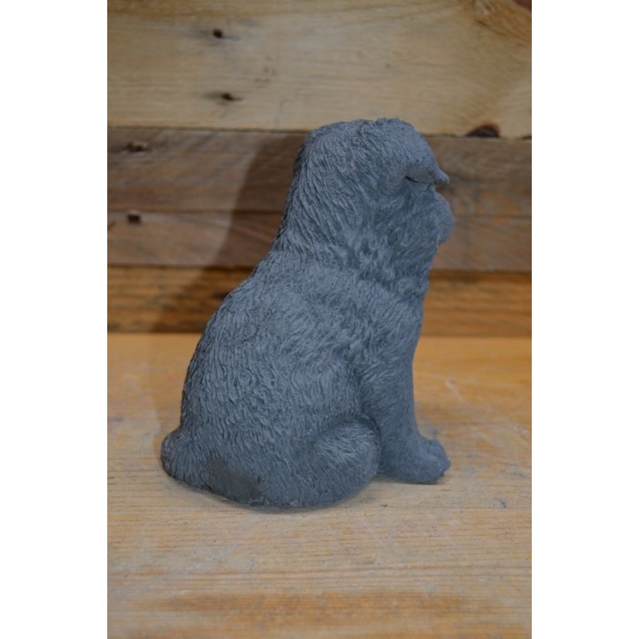 Betonnen Herder puppy – tuinbeeldje of woondecoratie-5