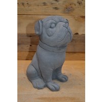 thumb-Bulldog hond-1