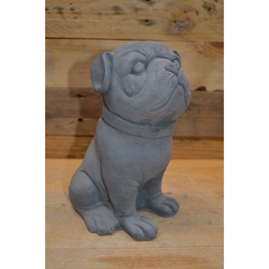 Kleine zittende Buldog van beton – decoratief beeldje of cadeautje-1