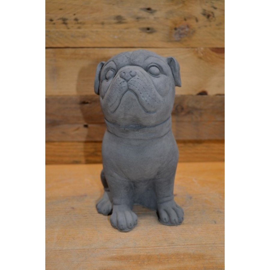 Kleine zittende Buldog van beton – decoratief beeldje of cadeautje-2