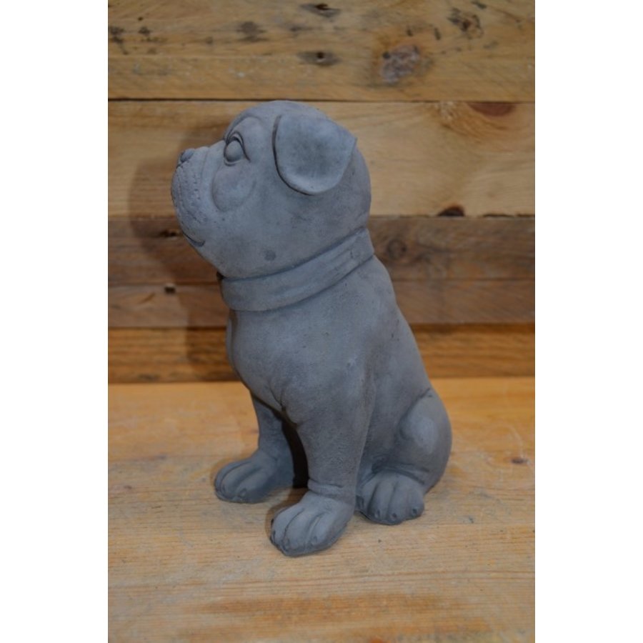 Kleine zittende Buldog van beton – decoratief beeldje of cadeautje-3