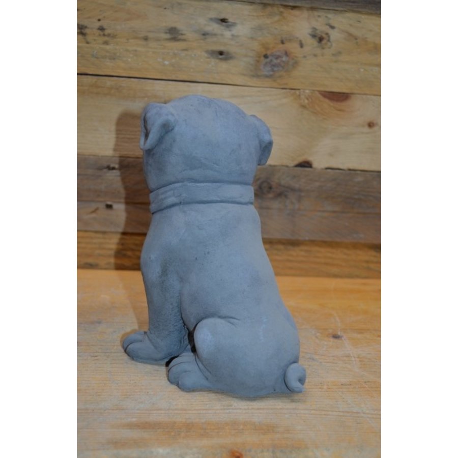 Kleine zittende Buldog van beton – decoratief beeldje of cadeautje-4