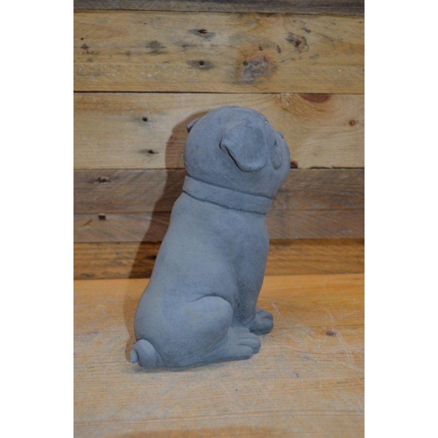 Kleine zittende Buldog van beton – decoratief beeldje of cadeautje-5