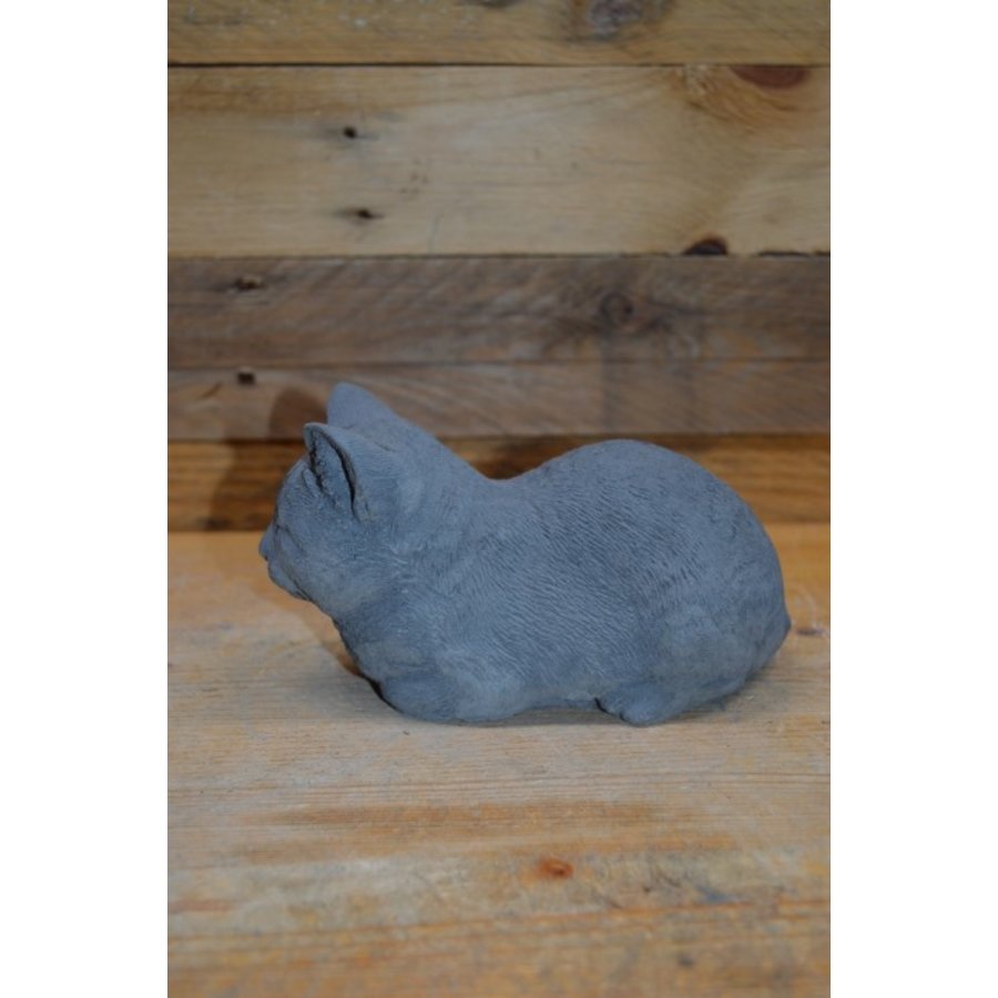 Schattig slapend katje van beton – beeldje voor binnen of buiten-3