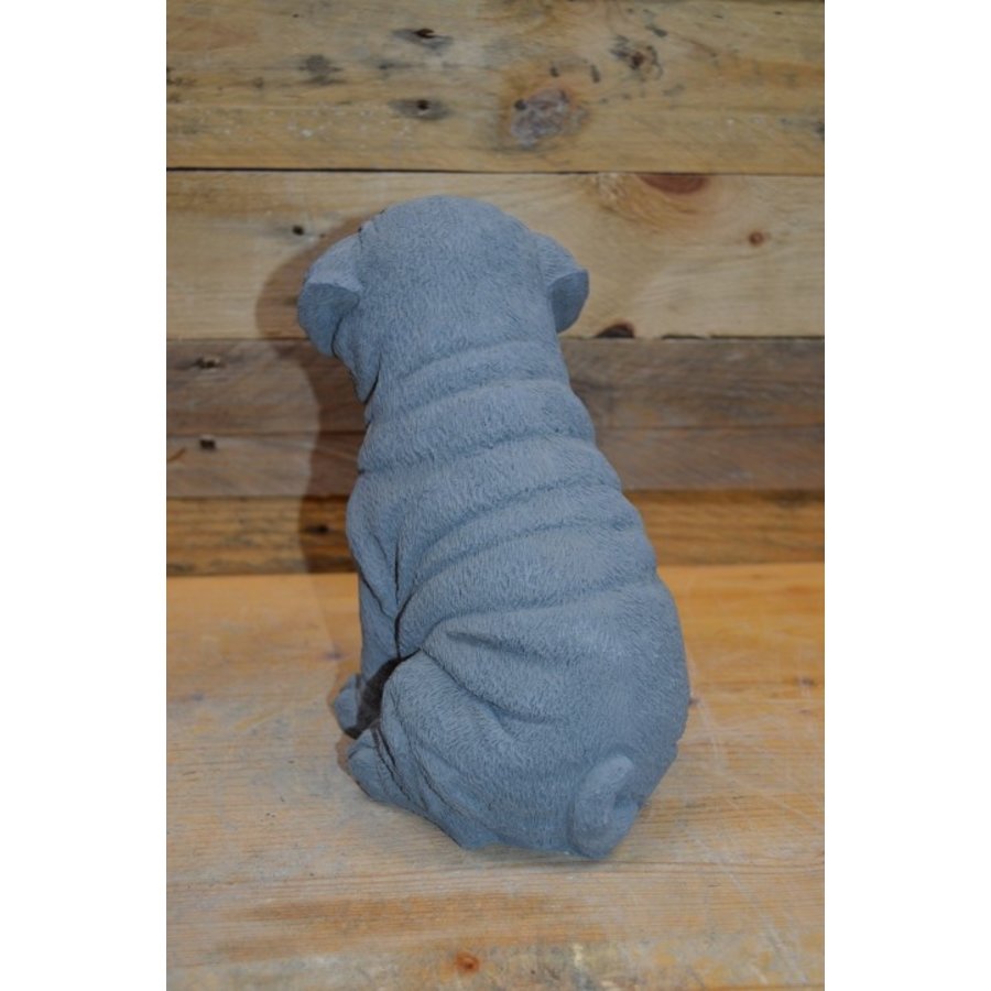 Zittende Engelse Bulldog puppy van beton – tuinbeeld of aandenken-3