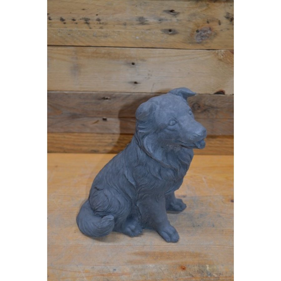 Zittende Border Collie van beton – vrolijk hondenbeeldje voor huis en tuin-2