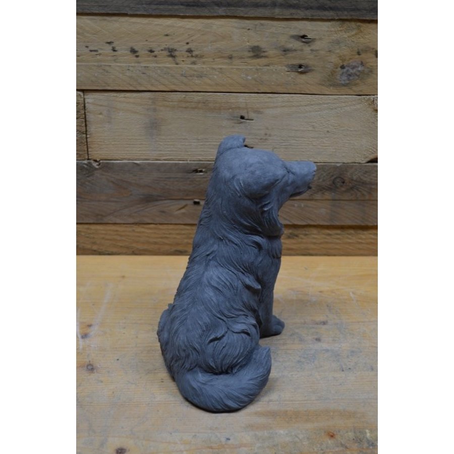 Zittende Border Collie van beton – vrolijk hondenbeeldje voor huis en tuin-3