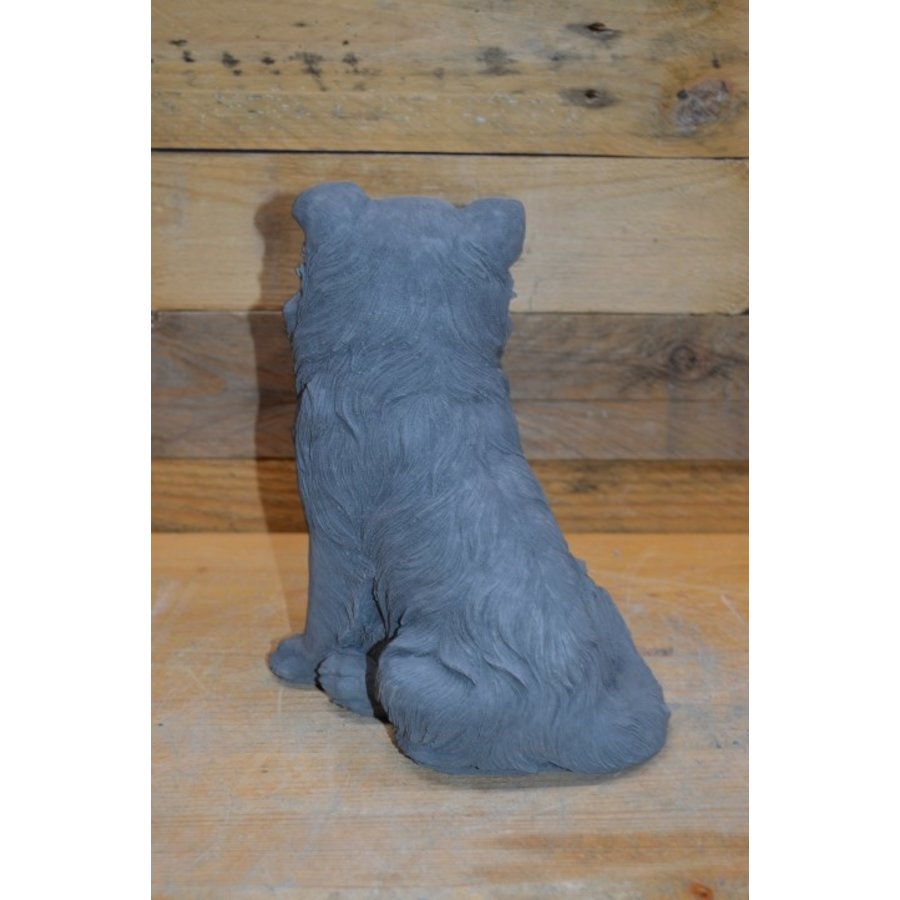 Zittende Border Collie van beton – vrolijk hondenbeeldje voor huis en tuin-4
