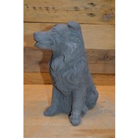 thumb-Border collie hond-5