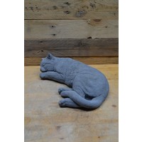 thumb-Grote slapende kat-5