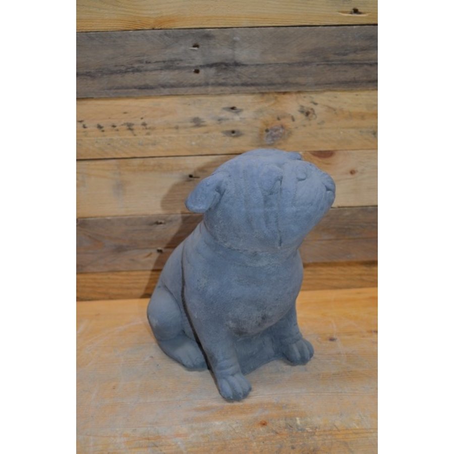 Kleine Bulldog van beton – sfeervol hondenbeeldje voor tuin en interieur-2