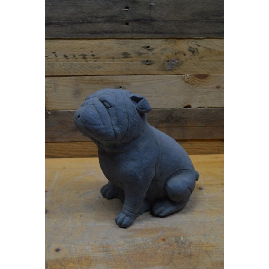 Kleine Bulldog van beton – sfeervol hondenbeeldje voor tuin en interieur-3