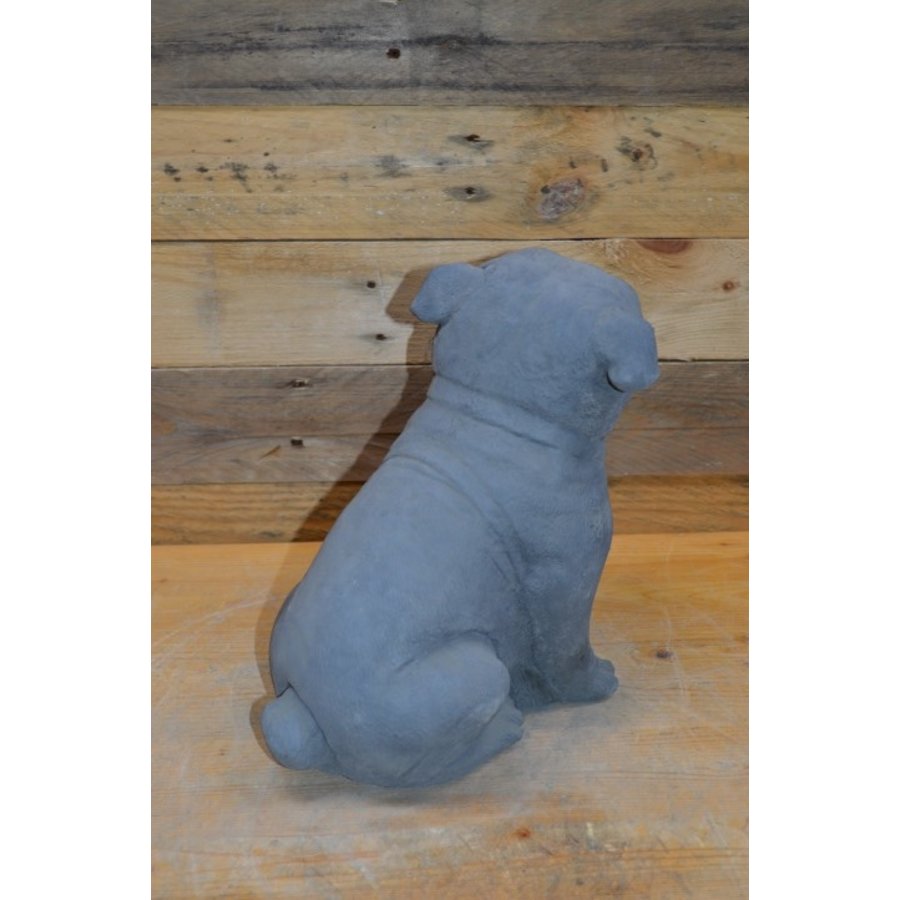 Kleine Bulldog van beton – sfeervol hondenbeeldje voor tuin en interieur-5