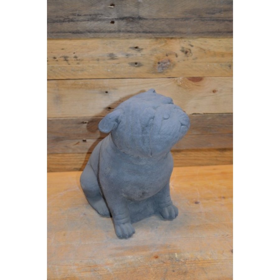 Kleine Bulldog van beton – sfeervol hondenbeeldje voor tuin en interieur-6