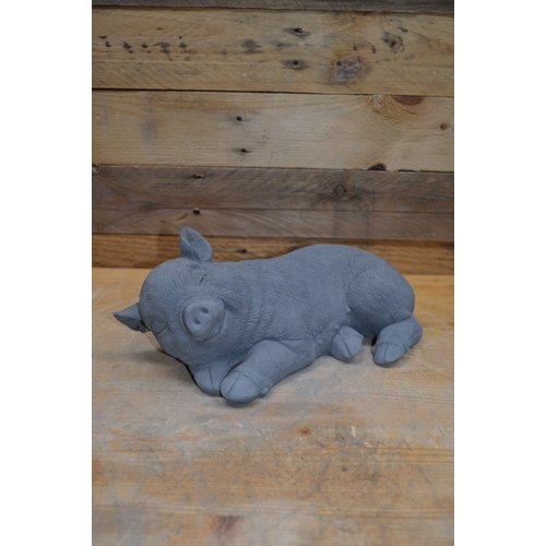 Betonnen beeld slapend biggetje 