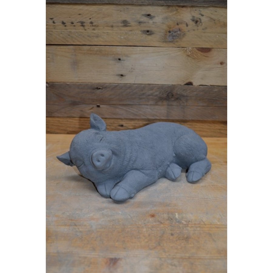 Klein slapend biggetje van beton – sfeervol dierenbeeld voor tuin en interieur-1