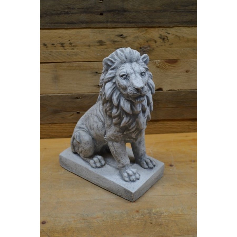 Zittende betonnen leeuw die naar rechts kijkt – natuurgetrouw mini tuinbeeld-1