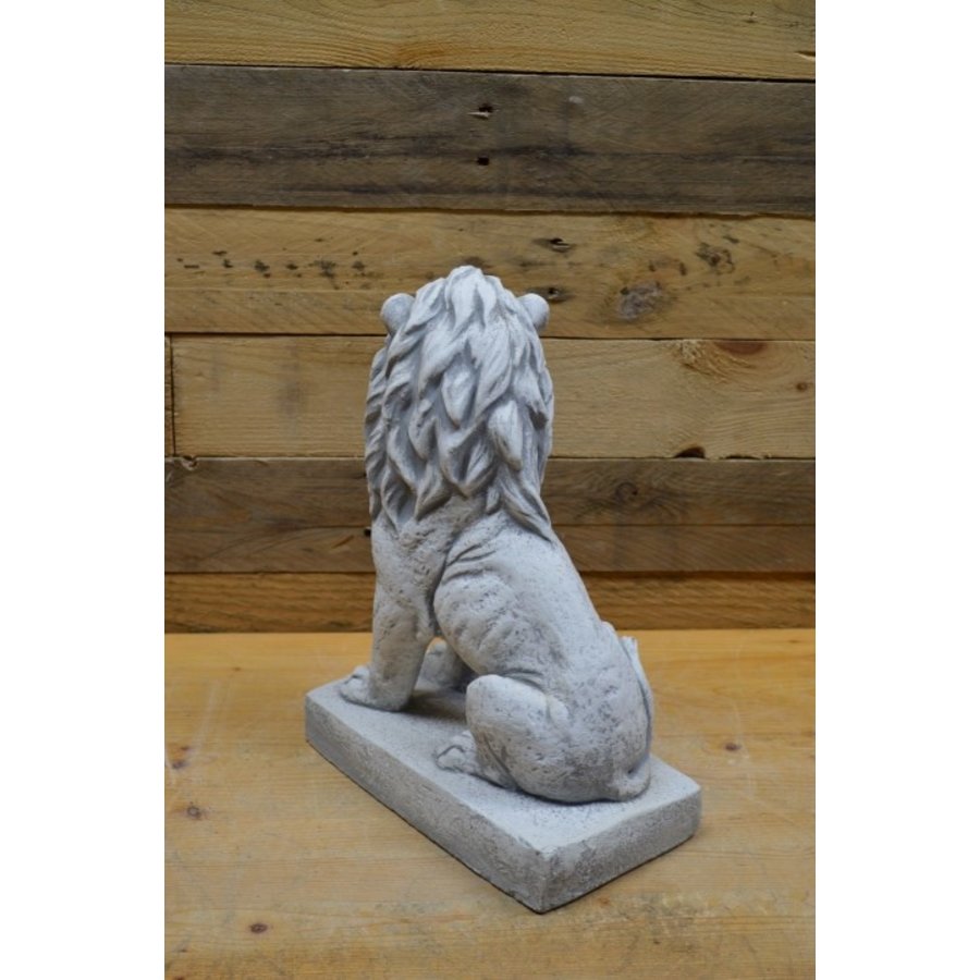 Zittende betonnen leeuw die naar rechts kijkt – natuurgetrouw mini tuinbeeld-3