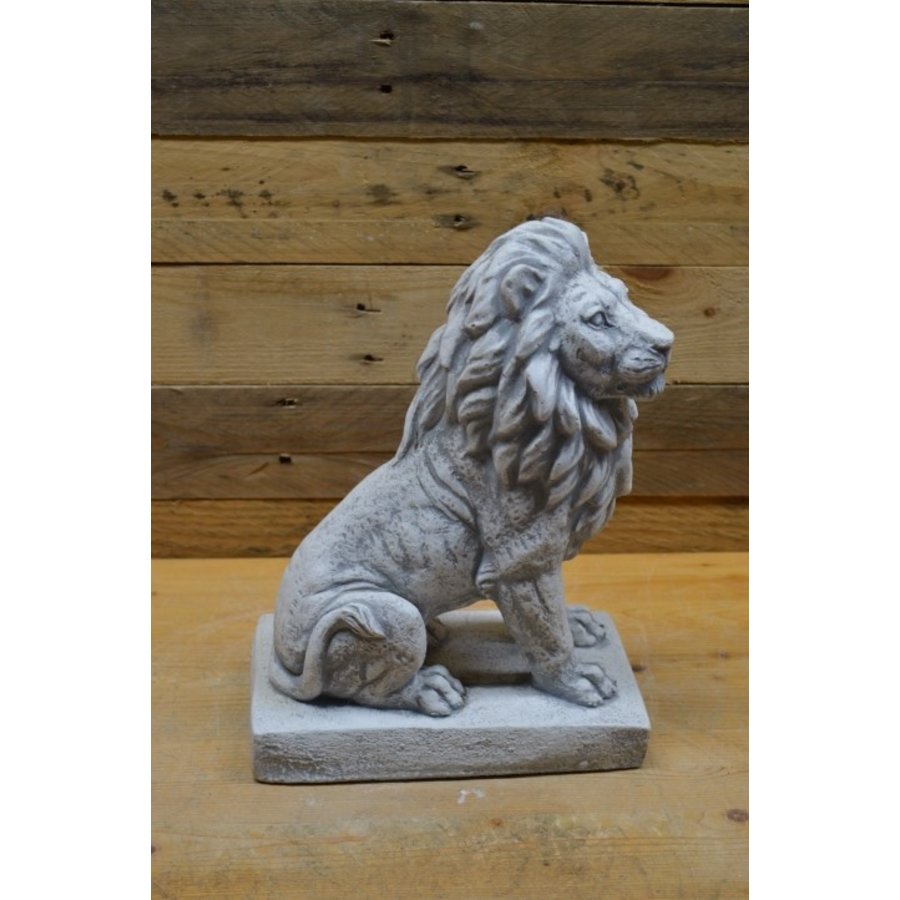 Zittende betonnen leeuw die naar rechts kijkt – natuurgetrouw mini tuinbeeld-4