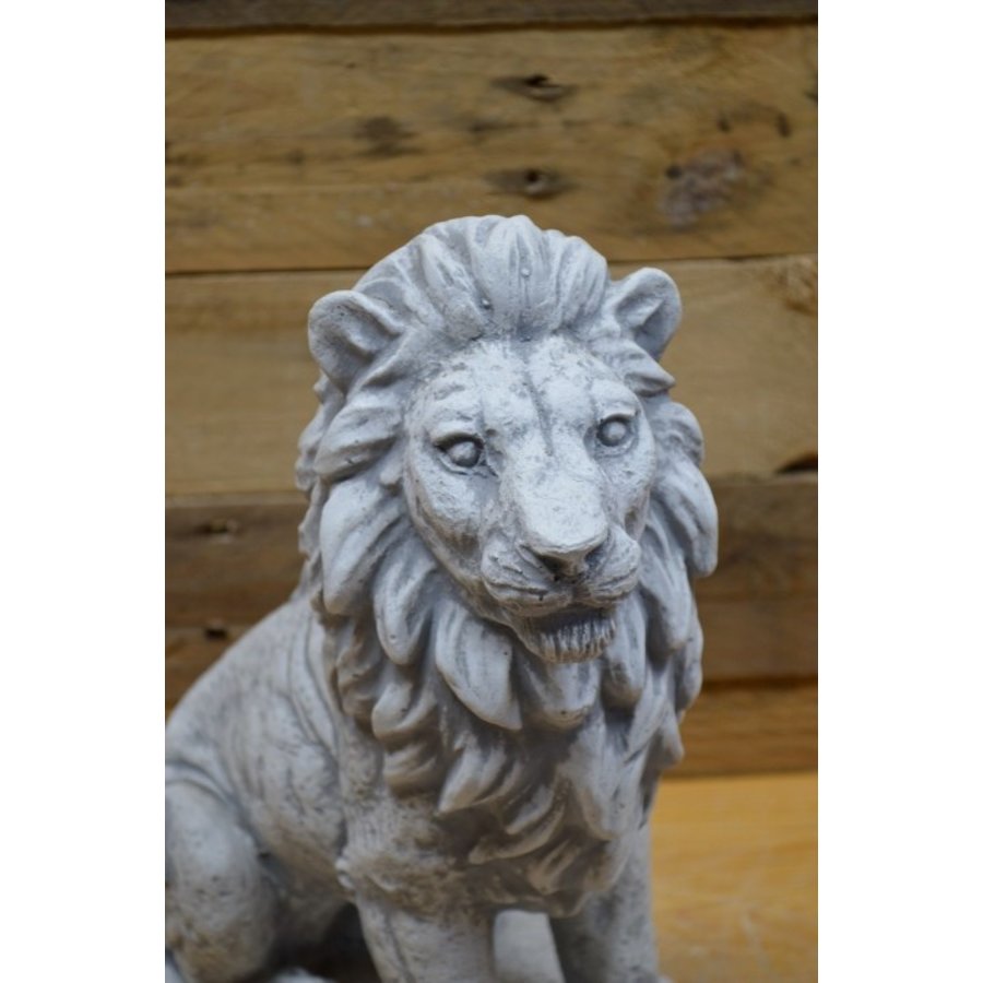 Zittende betonnen leeuw die naar rechts kijkt – natuurgetrouw mini tuinbeeld-5