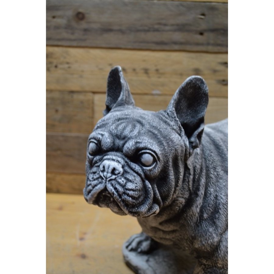 Betonnen Franse bulldog – tuinbeeld of herdenkingsbeeld voor hond-2