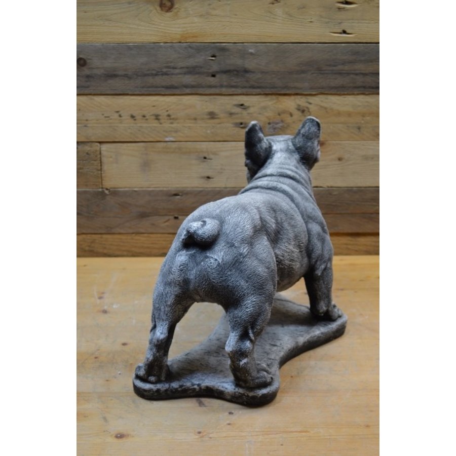 Betonnen Franse bulldog – tuinbeeld of herdenkingsbeeld voor hond-4