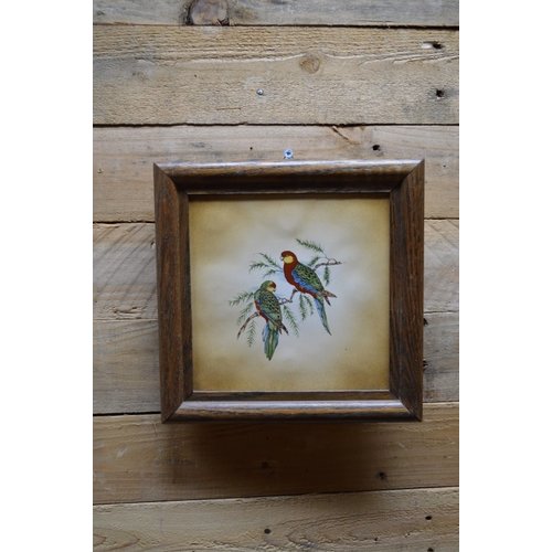 Tegelschilderij papegaaien in lijst 