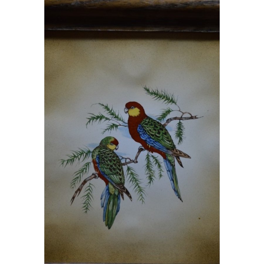 Tegelschilderij met papegaaien-2