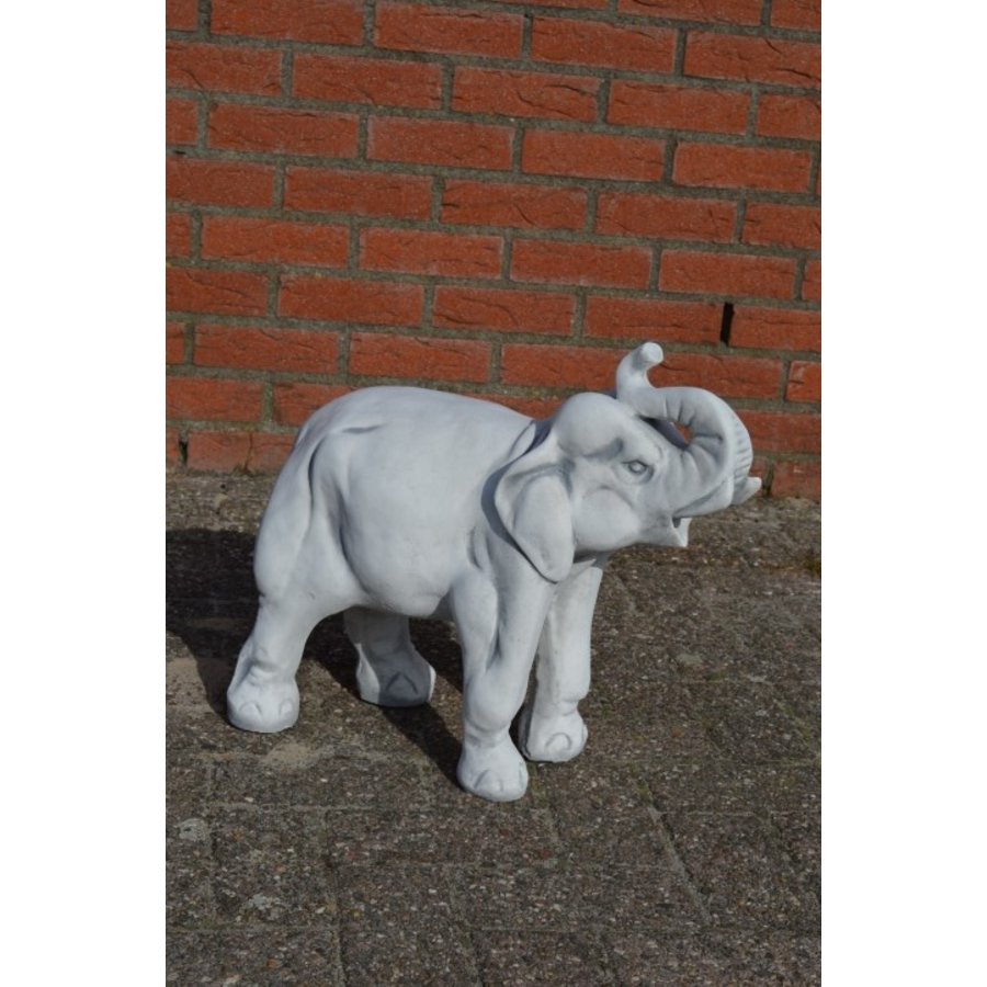 Betonnen olifant met slurf omhoog – stoer tuinbeeld van beton-2