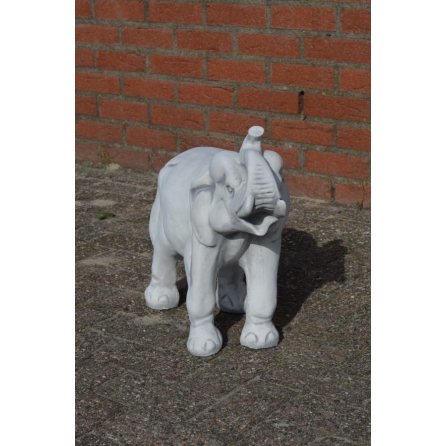 Betonnen olifant met slurf omhoog – stoer tuinbeeld van beton-3