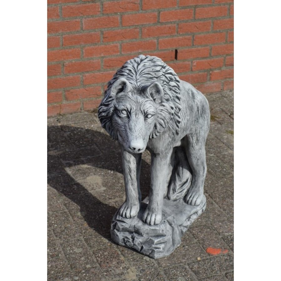 Grote betonnen wolf – indrukwekkend tuinbeeld met veel detail-1